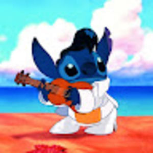 Meet your Posher, Zoe